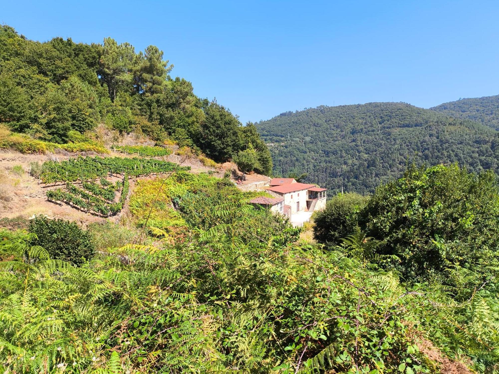 PearesXiravai-Ribeira Sacra别墅 外观 照片